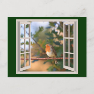 Robin Bird bij Window Feestdagenkaart