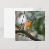 Robin Bird Carte photo naturel (Devant / Derrière)