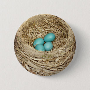 Robin Bird Egg Nest Ronde Button 5,7 Cm