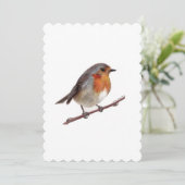 Robin Bird (Erithacus Rubecula) Cadeau Kaart (Staand voorkant)