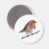Robin Bird (Erithacus rubecula) magneet (Voorkant / Achterkant)