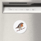 Robin Bird (Erithacus rubecula) magneet (Insitu (Vaatwasser))