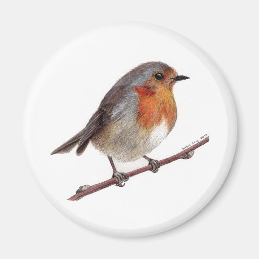 Robin Bird (Erithacus rubecula) magneet (Voorkant)