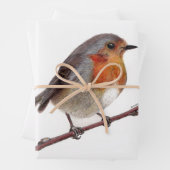 Robin Bird (Erithacus Rubecula) Papier à enveloppe (En situation)