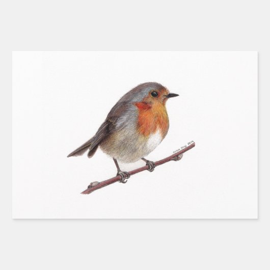 Robin Bird (Erithacus Rubecula) Papier à enveloppe (Devant)