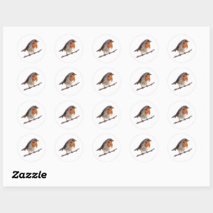Robin Bird (Erithacus rubecula) Sticker