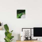 Robin Bird Foto Poster (Thuiskantoor)