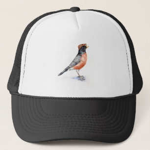 Robin Bird in Pet
