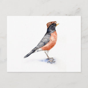 Robin Bird in Pet Briefkaart