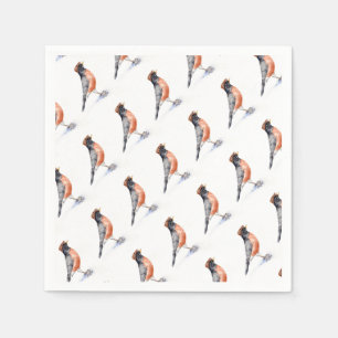 Robin Bird in Pet Servet