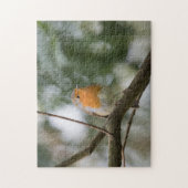 Robin Bird Nature Photo Jigsaw Puzzle (Vertical)