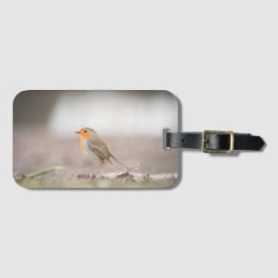 Robin Bird Natuur Foto Bagagelabel