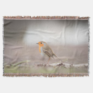 Robin Bird Natuur Foto Deken