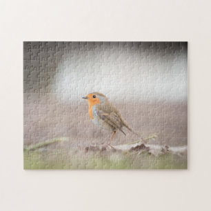 Robin Bird Natuur Foto Legpuzzel