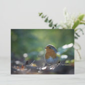 Robin Bird Natuur Photo Card (Staand voorkant)