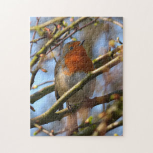 Robin Bird Puzzle Legpuzzel