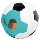 Robin Birds (3/4)