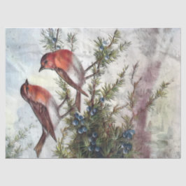 Robin Birds Artistic Decoupage Tissue Paper Tissuepapier