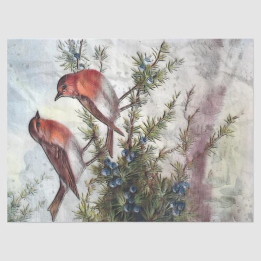 Robin Birds Artistic Decoupage Tissue Paper Tissuepapier (Voorkant)