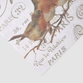 Robin Birds  Franse stadsnamen Tissue Paper Tissuepapier (Detail)