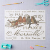 Robin Birds French City Names Decoupage Tissuepapier (Craft)