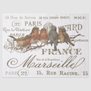 Robin Birds  French City Names Decoupage Tissuepapier