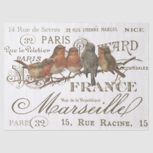 Robin Birds French City Names Decoupage Tissuepapier (Voorkant)