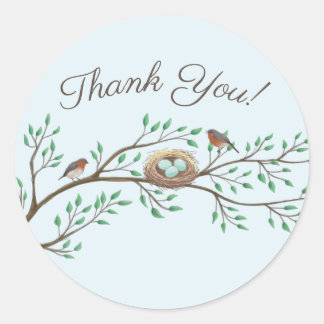 Robin Birds Nest Eggs Spring Baby shower Ronde Sticker