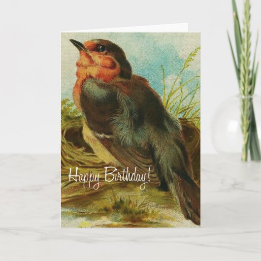 Robin Birthday Kaart (Voorkant)