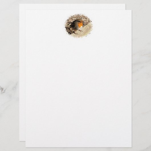 ROBIN BRIEFHOOFD (Voorkant / Achterkant)