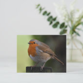 Robin Briefkaart (Staand voorkant)