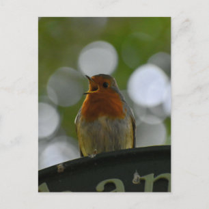 Robin Briefkaart