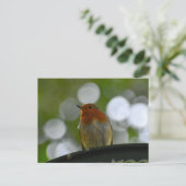 Robin Briefkaart (Staand voorkant)