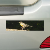 Robin Bumpersticker (Op auto)