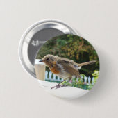 Robin Button Badge (Voorkant /achterkant)