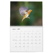 Robin Calendar 2016 Kalender (Mar 2027)