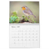 Robin Calendar 2016 Kalender (Feb 2027)