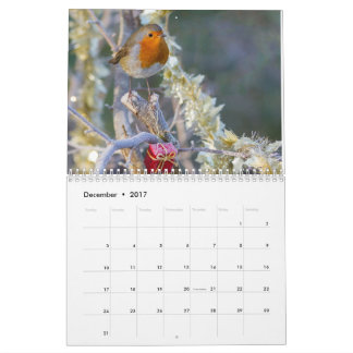 Robin Calendar 2017 Kalender
