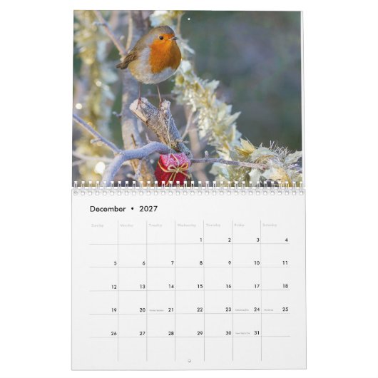 Robin Calendar 2017 Kalender (Dec 2027)