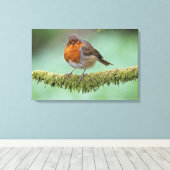 Robin Canvas Afdruk (Insitu (Houten vloer))