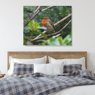 Robin Canvas Afdruk