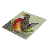 Robin Ceramic Kitchen Tile Tegeltje (Zijkant)