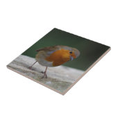 Robin Ceramic Tile Tegeltje (Zijkant)