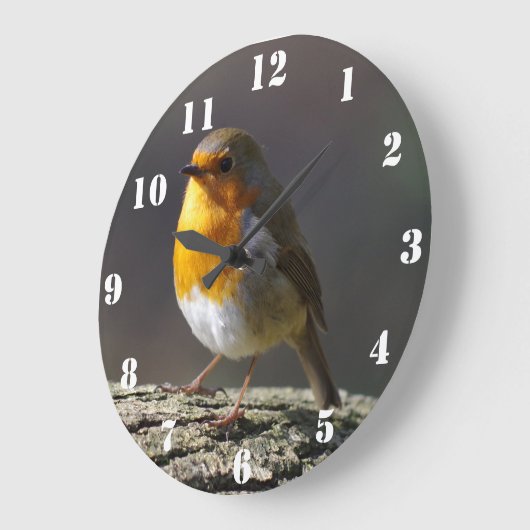 Robin Clock Grote Klok (Hoek)