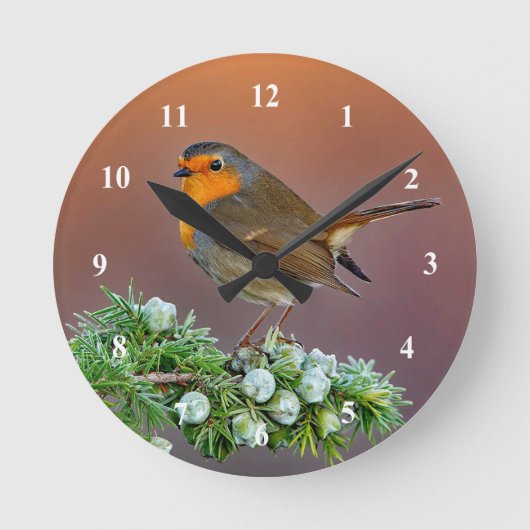 Robin Clock Ronde Klok (Voorkant)