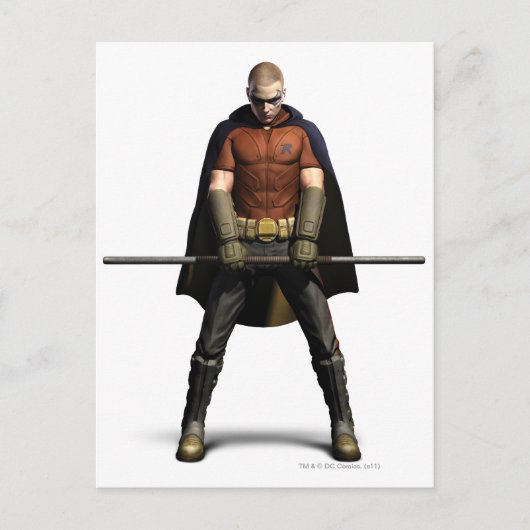 Robin Color Briefkaart (Voorkant)