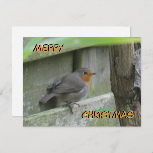 Robin Cust. Carte postale Joyeux Noël (Devant / Derrière)