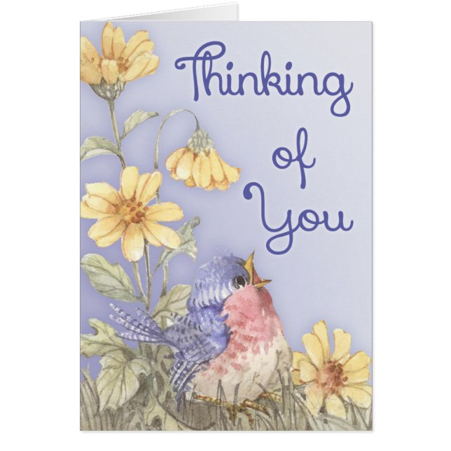 Robin de ressort (Devant)