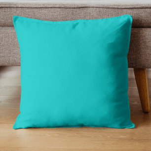 Robin Egg Blue Effen Kleur Klassiek Elegant Kussen