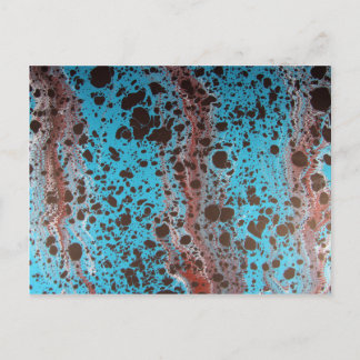 Robin Egg Shell 5184 x 3456.JPG Briefkaart